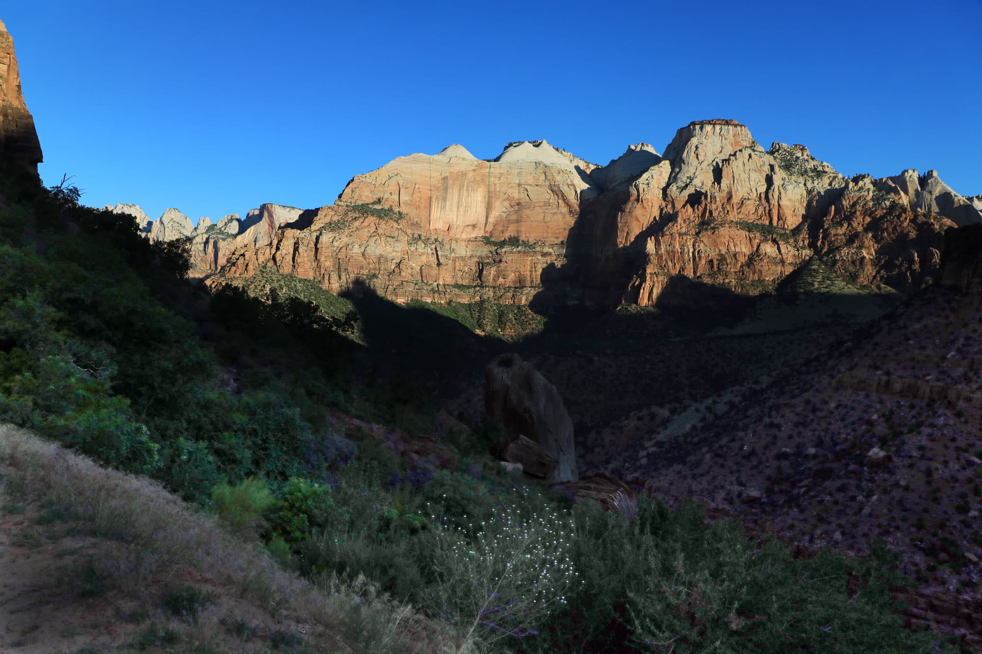 Zion National Park Panoramic View