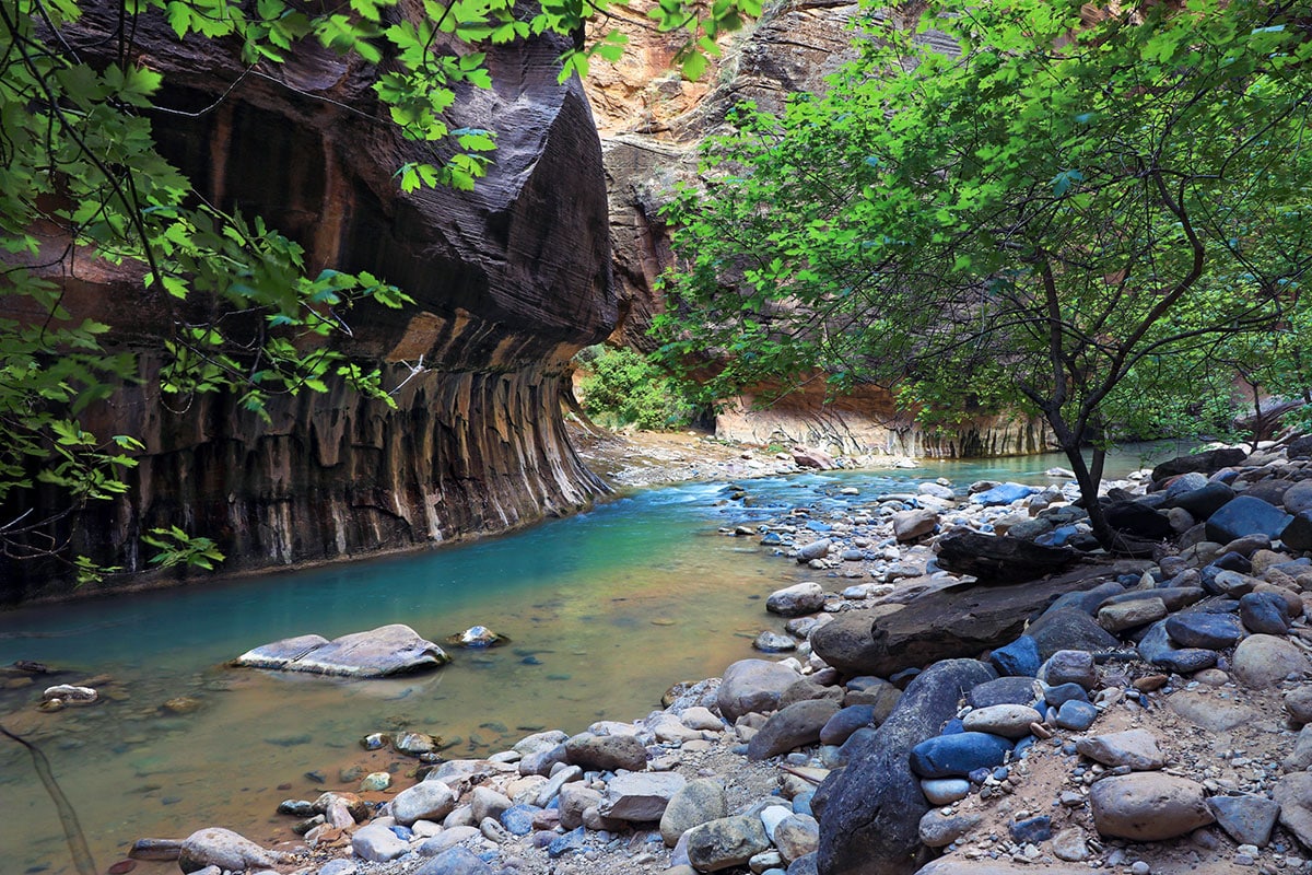 Virgin River Narrows