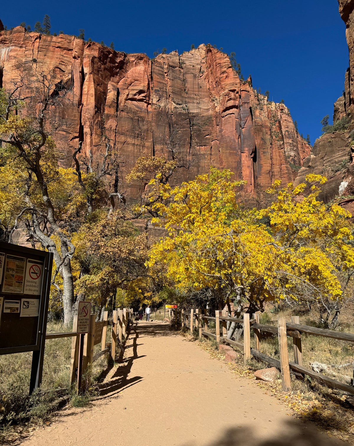 Narrows Zion National Park Temple of Sinawava