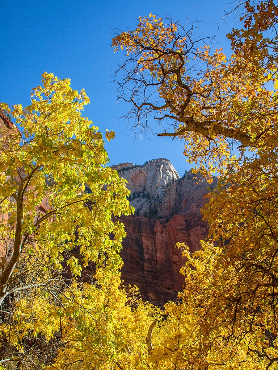 Narrows Zion National Park