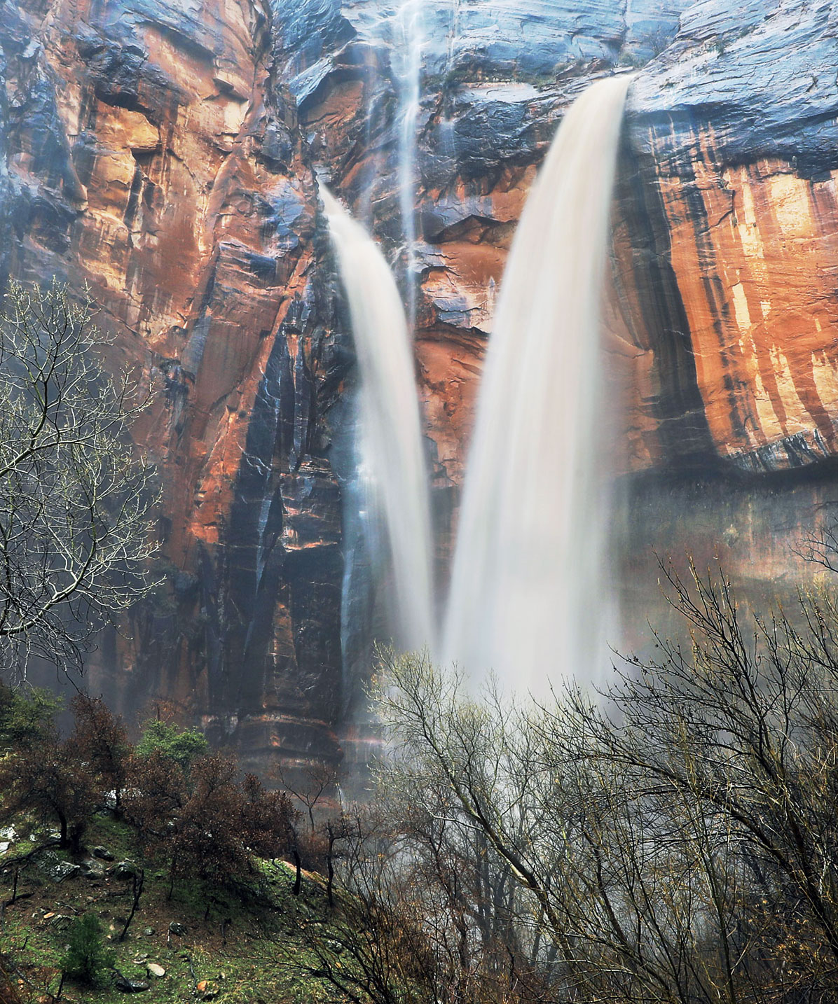 weeping rock